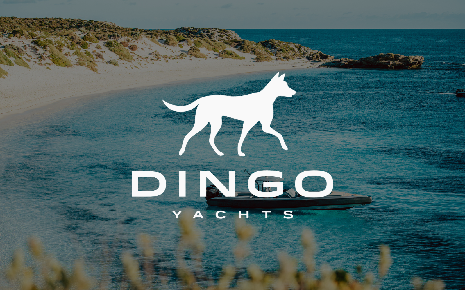 Dingo Yachts